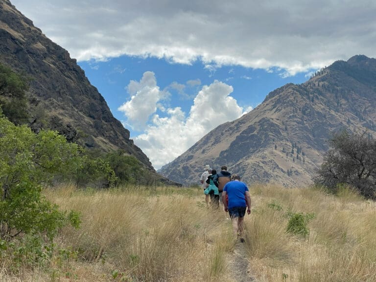 People hiking through grassy field heading towards mountain peaks.