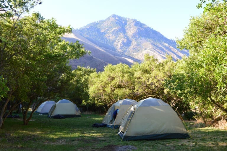 Four tents set up on green grass surrounded by green trees and tall grassy hills.